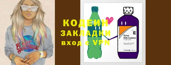 шишки Шадринск