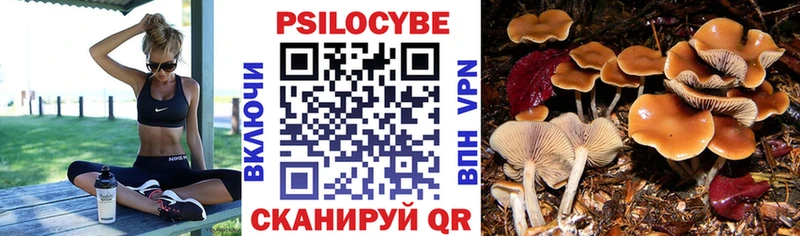 Псилоцибиновые грибы Psilocybe  Армавир 